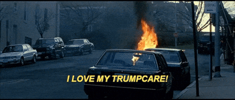 highryan  GIF