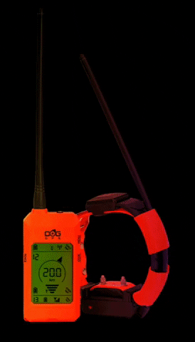 doggps.ru GIF