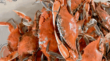 Food Seafood GIF by The Crab Place