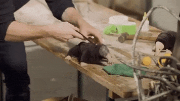 Fantastic Beasts GIF