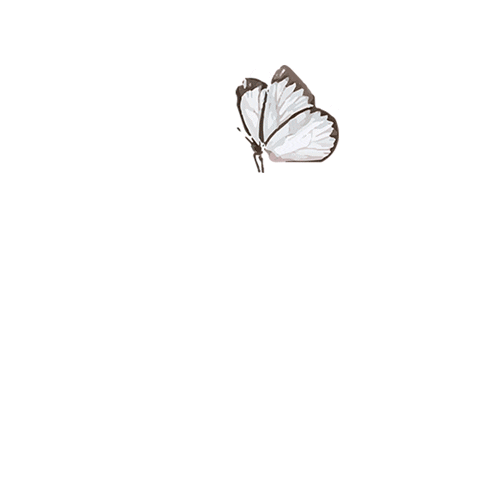 VR EDITORAS Sticker