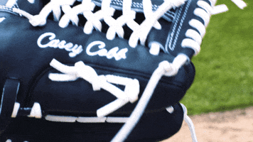 Baseball Cobb GIF by Alabama Crimson Tide