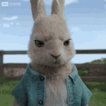 Peter Rabbit Animation GIF by Sony Vietnam