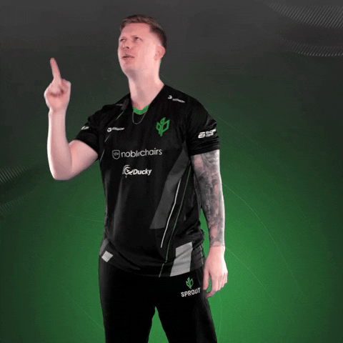 Esports Cs2 GIF by Sprout