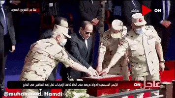 Sisi GIF