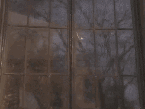 Good Morning Windows GIF by Star Trek - Find & Share on GIPHY