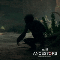 Ancestors Panache GIF by Ancestors: The Humankind Odyssey