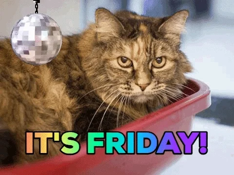 Its Friday GIF by Nebraska Humane Society