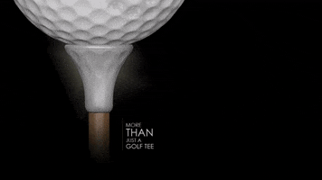 twinteegolf logo golf marketing brand GIF