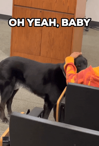 Separation Anxiety Dog GIF by Storyful