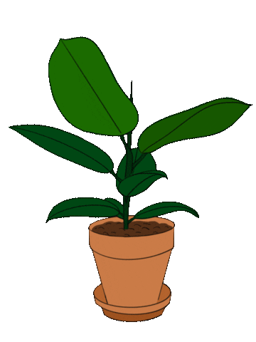 Plant Sticker