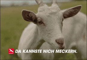 Unser Brandenburg GIF