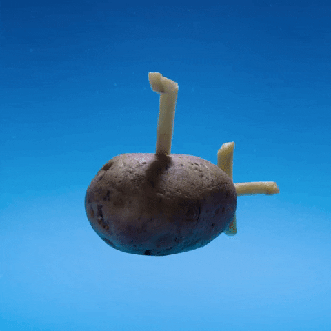 Stop Motion Potatoes GIF by cintascotch