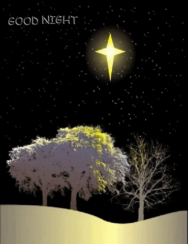 Good Night GIF