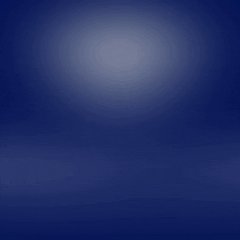 Limborco e Gomes Advogados GIF