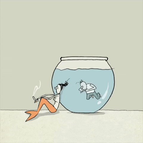 yuvalrob animation illustration fishing mermaid GIF