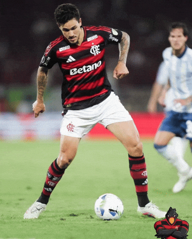 Flamengo GIF
