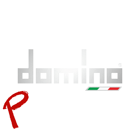 Domino Racing Sticker