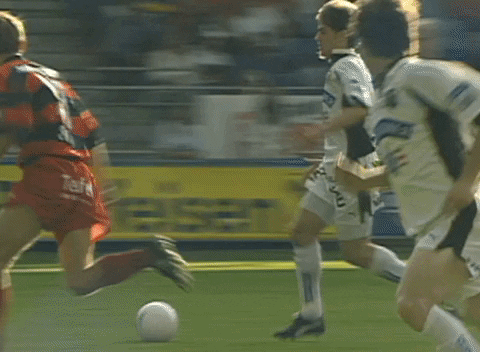 Goal Bundesliga GIF by SK Sturm - Goal Bundesliga GIF by SK Sturm