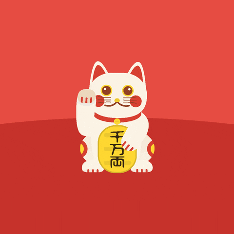 Happy Cat GIF by Where to go in Japan?