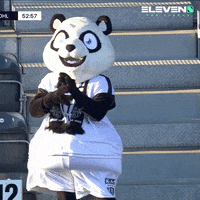 Clapping Panda GIF by ElevenSportsBE