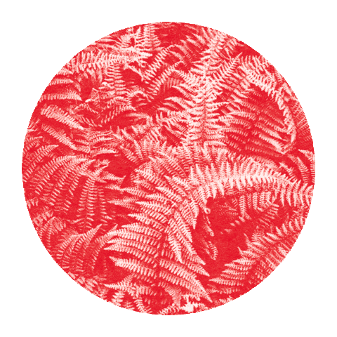 Pressure Fern Sticker by Thekla Bristol