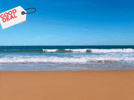 200.gif?cid=fc005b080795e5c578a992167970c2b7093d345d77cef08f&rid=200.gif&ct=g