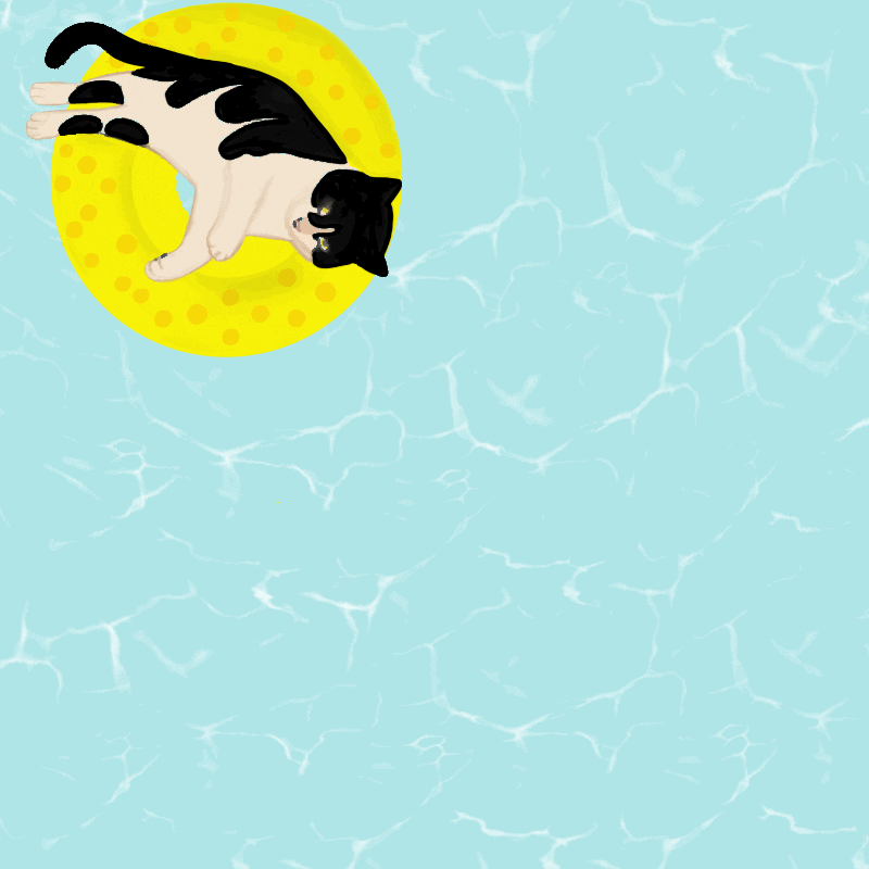 Cat Floating GIF Find & Share on GIPHY