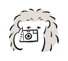 Camera Selfie Sticker
