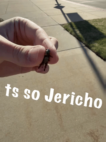 Small GIF