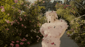 Get It The Best GIF by Anja Kotar