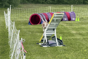 TVKC GIF