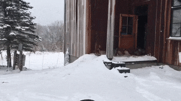 Cold GIF