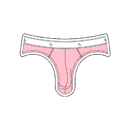 Underwear Sticker by Ven Label