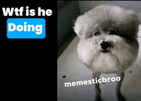 Meme GIF