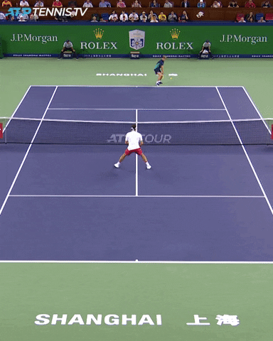 Roger Federer Sport GIF by Tennis TV