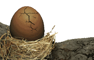 Patitas Sticker by Soprole