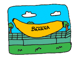 Coffs Harbour Australia Sticker