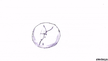 200.gif?cid=fc005b081f5b726565aba60591c85fdef2b41dfb9eed332c&rid=200.gif&ct=g