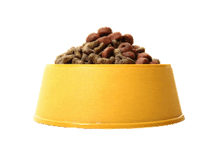 Dog Food Kibble Sticker by Bone & Biscuit