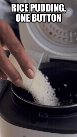 Rice Pudding, One Button | Rice Robot