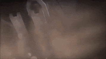 200.gif?cid=b100040937h7ipz9d06fss1zqbs6