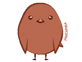 Fina Aliancas Sticker by Pratafina