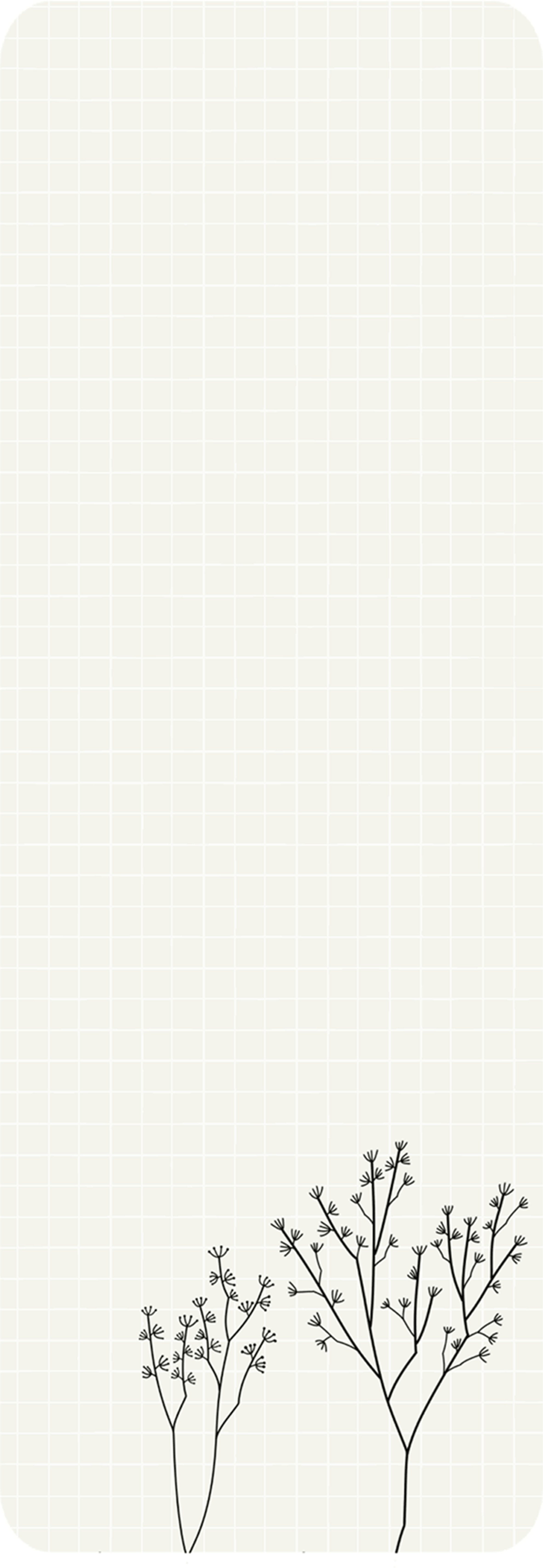 Flower Frame GIF by Find & Share on GIPHY