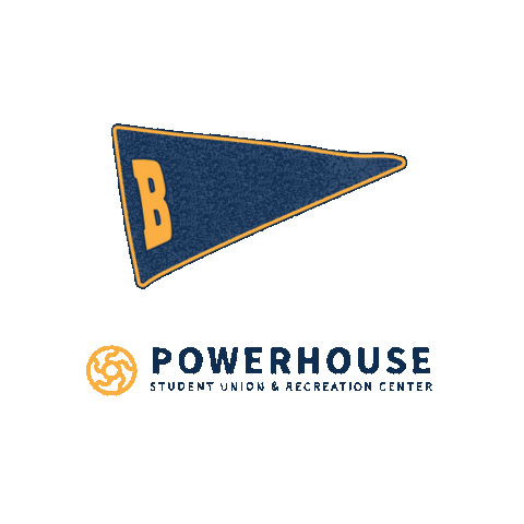 Beloit College Sticker