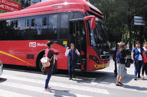Cdmx GIF