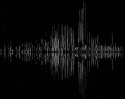 Sound Morpho GIF