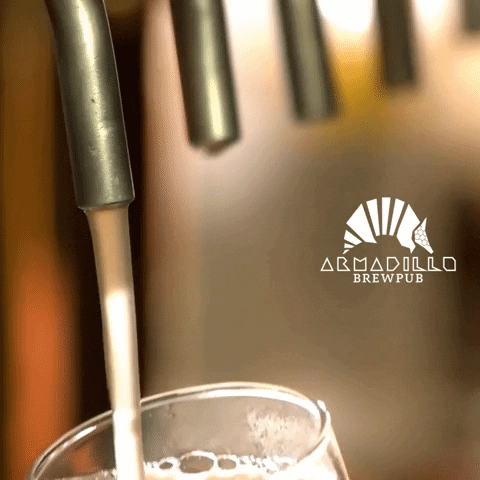 Beer Cheers GIF by Armadillo Brewery
