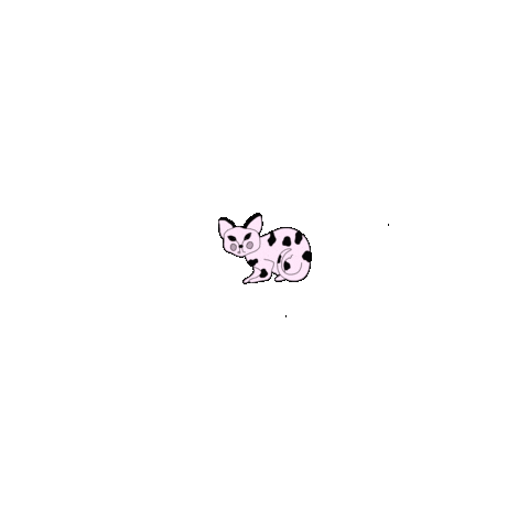 Cat Sticker
