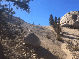 Backpacking GIF by Justin